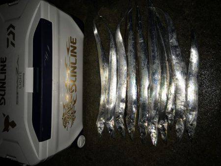 デイサーベリング