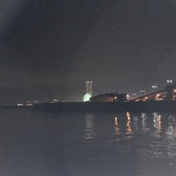 釣れてビックリ