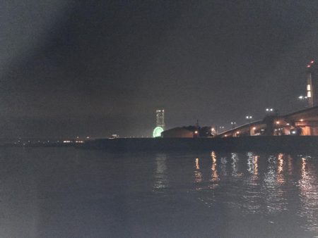 釣れてビックリ