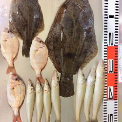 やっとデカイの釣れました