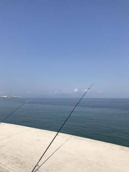 キスからのカワハギ