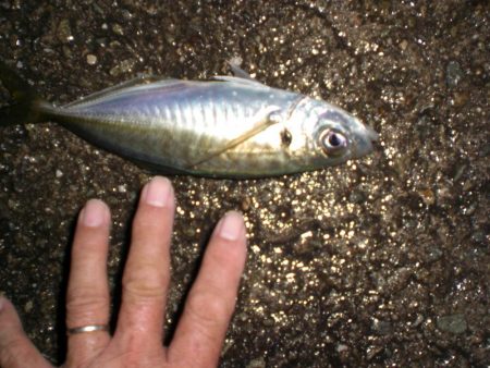 台風前の雨の中