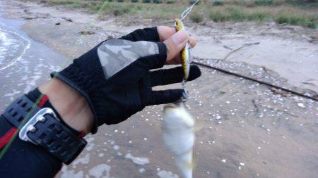 河口部 ジギング