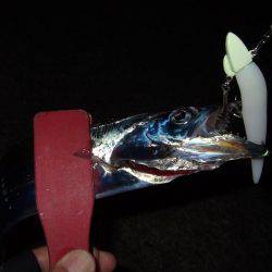 ラインのメンテナンスは怠ってはいけません