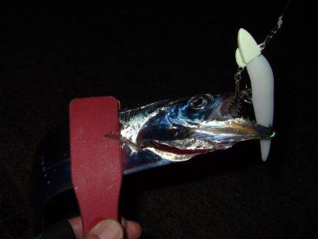 ラインのメンテナンスは怠ってはいけません