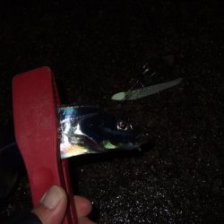 雨の合間に刀狩り