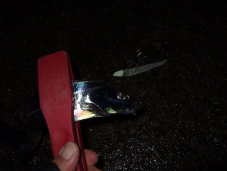 雨の合間に刀狩り