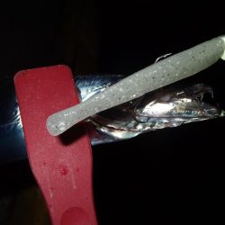 やっぱり渋かった