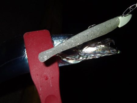 やっぱり渋かった