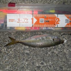 台風が来る前に