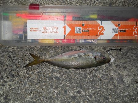 台風が来る前に