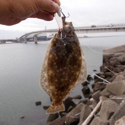 鉄板バイブレーションでマゴチ、ヒラメ