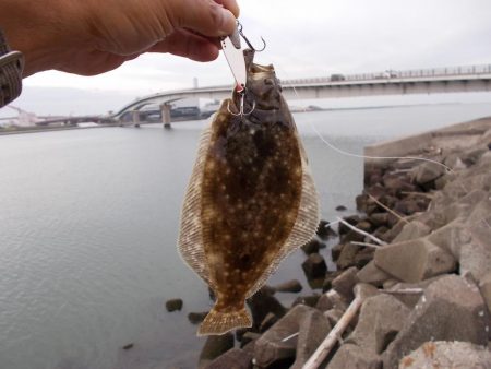 鉄板バイブレーションでマゴチ、ヒラメ