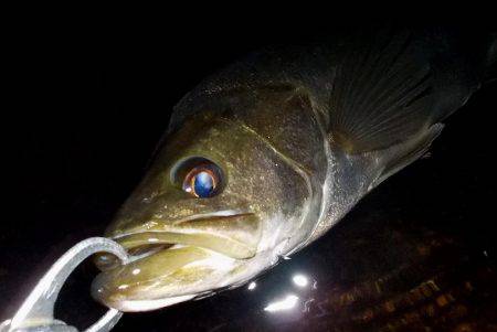 西宮跳ね橋　今夜もゲット