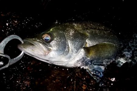 西宮跳ね橋　サイズダウン　５本