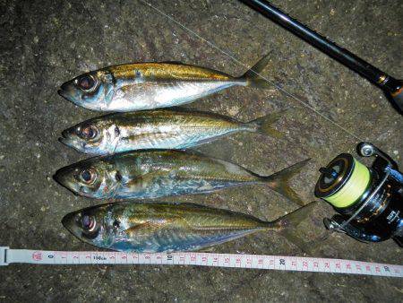 サイズはいいが…