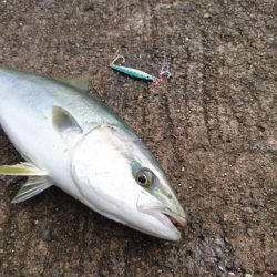 大雨直後を狙って