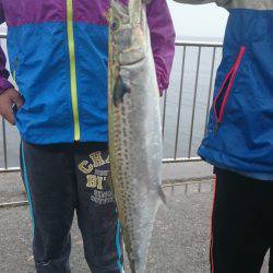 目の前にはサゴシジャンプ