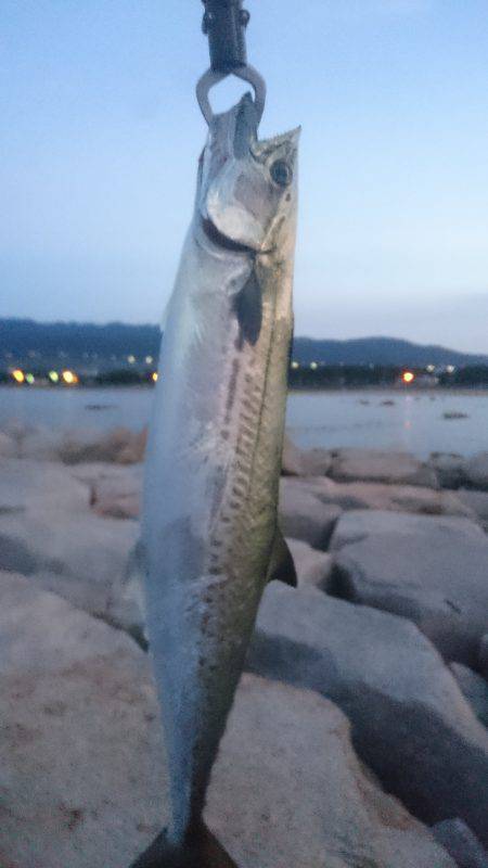 HGリールが欲しい〰❗