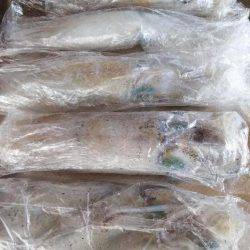 teamゲッソー調査隊