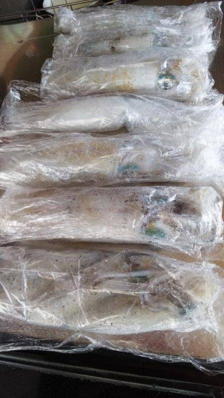 teamゲッソー調査隊