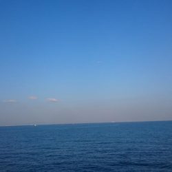 ライトショアジギ