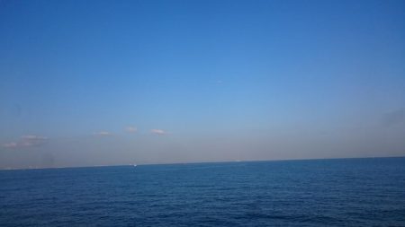 ライトショアジギ