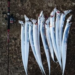 絶好調!! つ抜け