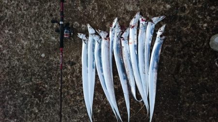 絶好調!! つ抜け