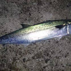 久しぶりの武庫一