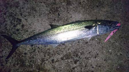 久しぶりの武庫一