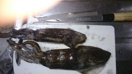 久しぶりの釣り