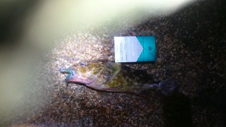 台風が来る前に