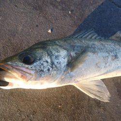 ちゃんと食べれてる?