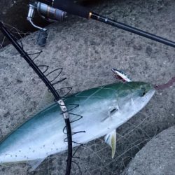 ブルーランナー