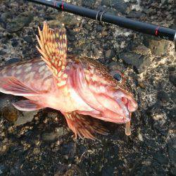 冬の海模様になってきました(`・ω・´)