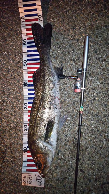 竿したのガシラ狙いと太刀魚釣り