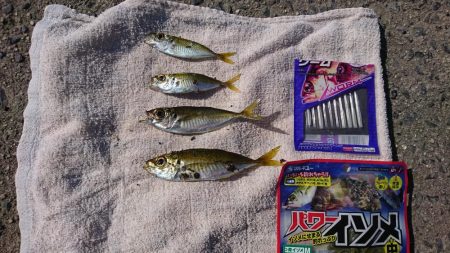 ちょい投げ&サビキ