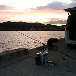 落ちギス狙って再釣行