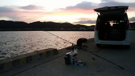 落ちギス狙って再釣行