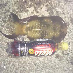 雨が降る前に行ってきました