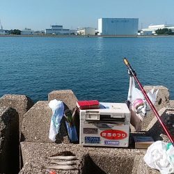 東二見人工島へ落ちギス調査３連投