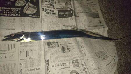 タッチーゲットー