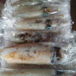 teamゲッソー調査隊