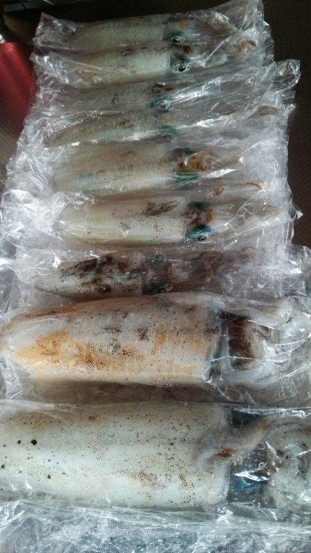 teamゲッソー調査隊