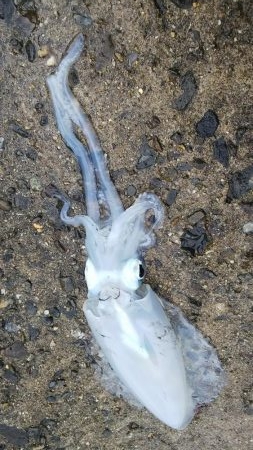 なんとか坊主回避