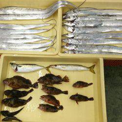 タチウオからのジギングからの穴釣り