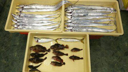 タチウオからのジギングからの穴釣り