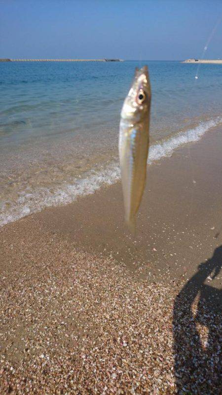暑い！渋い‼でもキレイ❗