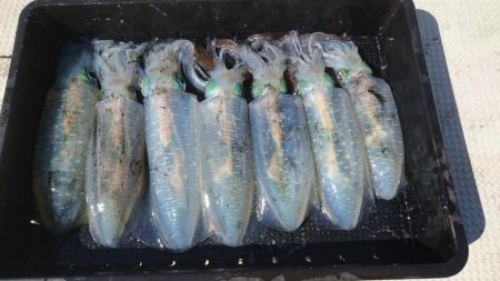 盛漁丸でティップラン